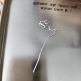 Somenath Bhandary review photo