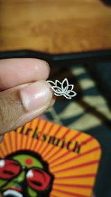 Akhila Menon review photo