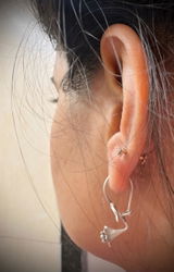 Disha review photo