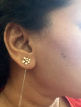Shilpi review photo