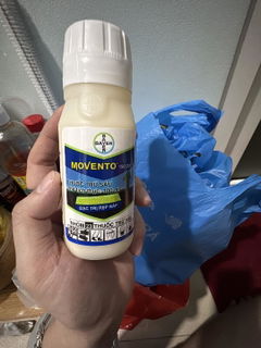 Review picture