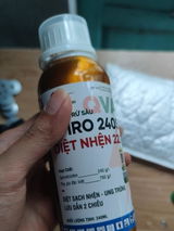 thiết review photo