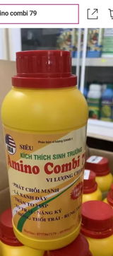 quyền quang review photo
