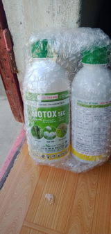 mai quoc anh review photo