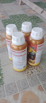 Đinh Thế Hiển review photo