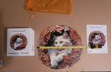 D. Geyer review photo