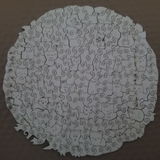 D. Geyer review photo