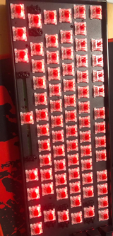 Nicutz review photo
