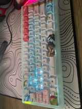 Tavi review photo