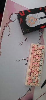 Norica review photo