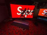 David Spiridon review photo
