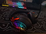 Not_dvzz review photo