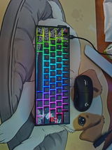 Cornescu Anișoara review photo