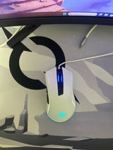 matei grigorean review photo