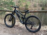 Martin review photo