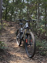 Darryn review photo