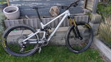 Ingo K. review photo