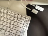 しらたま。 review photo