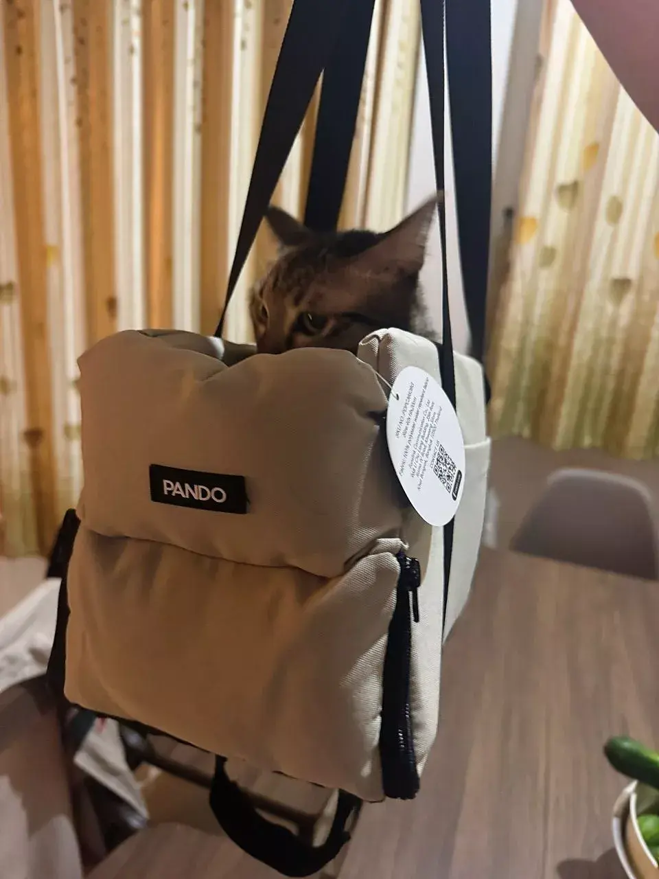 8catmeowgirlgruop review photo