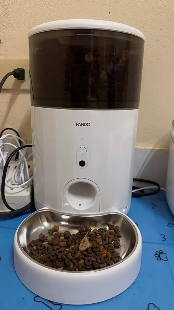 paeng09876 review photo