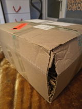 Rene Knabe review photo