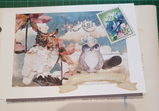 Michelle Holmes . Rachels passion is contagious. I love Rachel Turtle Journal. review photo