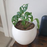 Anonyme review photo