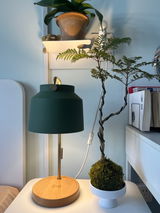 Jannett review photo