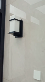 Arlo review photo
