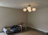 Jeremy Morris review photo