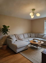 Ariana Hall review photo
