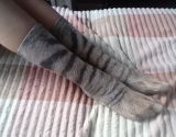 Hafsa N. review photo