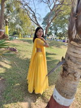 Ananya review photo