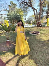 Ananya review photo