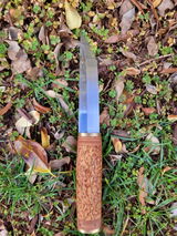 Alexander Caliendo review photo