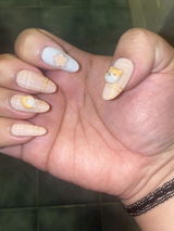 3D Shiba Inu Sakura Press on Nails