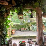 lisa clutterbuck review photo