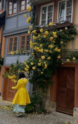Karolina Karjatkar Öberg review photo