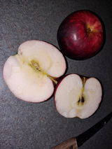 G.F. review photo