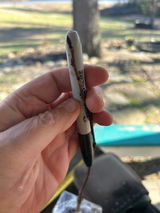 Creg review photo