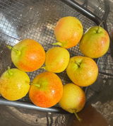 Hermelina review photo