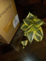 Paula review photo