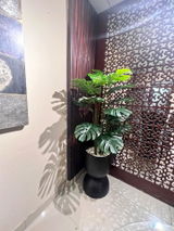 Hamza review photo