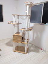 匿名 review photo