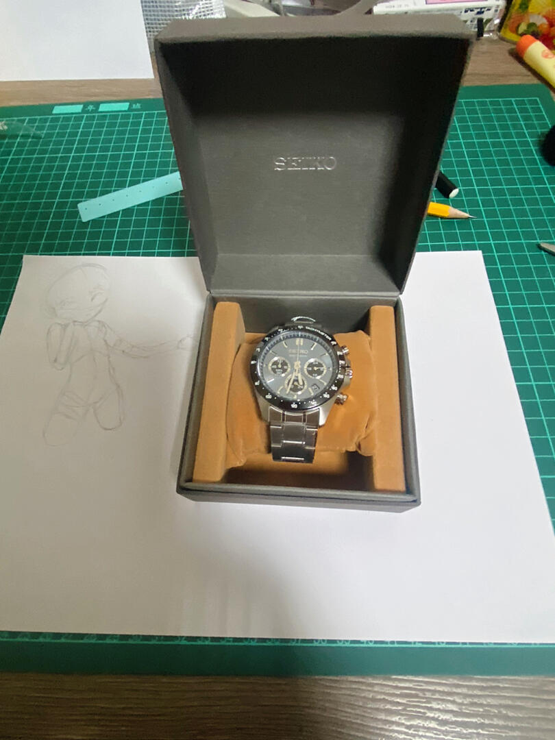 s*****2 review photo