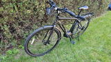 Denis Muzungu review photo