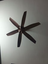 R Mohan review photo