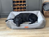 Suzie review photo
