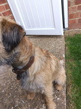 Beeby123 review photo