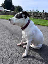 Emma review photo